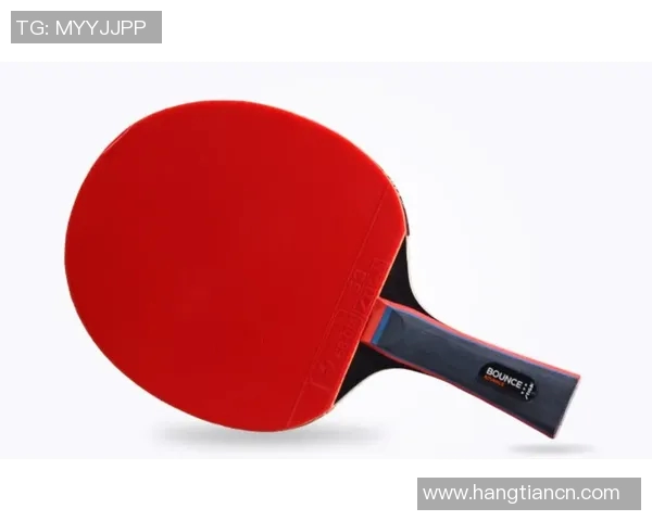 乒乓球拍品牌推荐及选购指南助你找到最适合的拍子