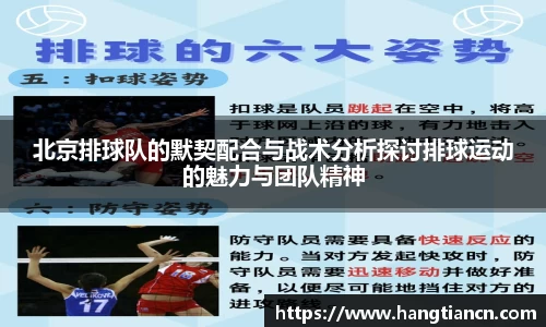 RAYBET雷竞技官网