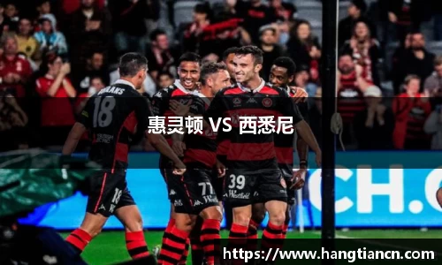 惠灵顿 VS 西悉尼