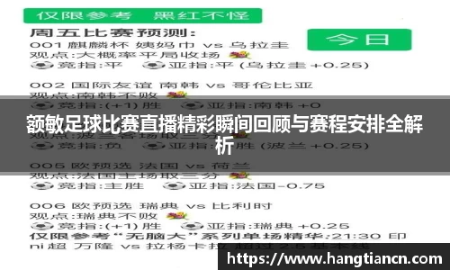 RAYBET雷竞技官网