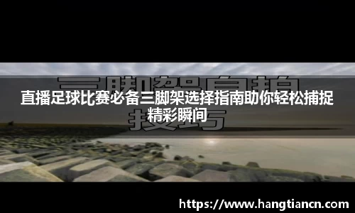 RAYBET雷竞技官网